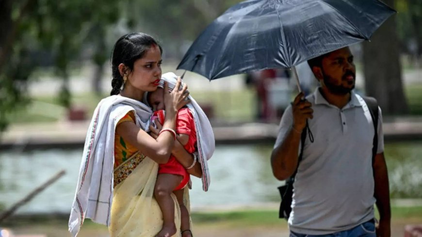 ‘Error in sensor or local factors': IMD starts probing Delhi's 52.9°C