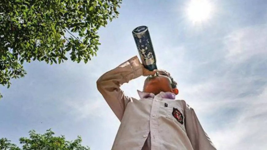 Heatwave alert: These Indian cities surpass 50 degrees Celsius in 2024