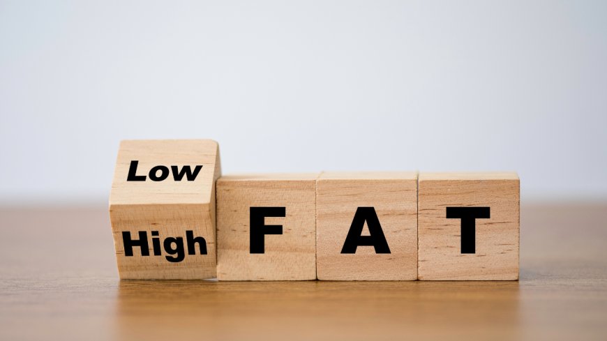 Harmful effects of a high fat diet on your body