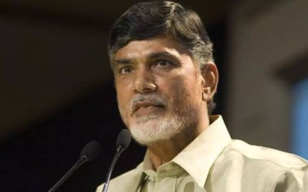 Lok Sabha Elections: Chandrababu Naidu plays his cards right, catapults onto national stage