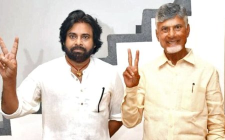 Election Results 2024: Why former CEA Basu advocates for Chandrababu Naidu's exit from the NDA