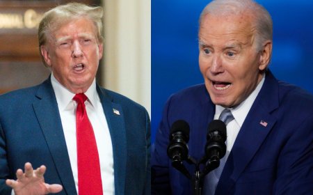 Donald Trump quickly surpasses Joe Biden on TikTok with just one video