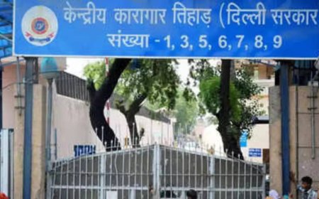 Gangster stabbed inside Tihar Jail