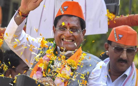 Piyush Goyal saves face for BJP in Mumbai, winning North seat by highest margin