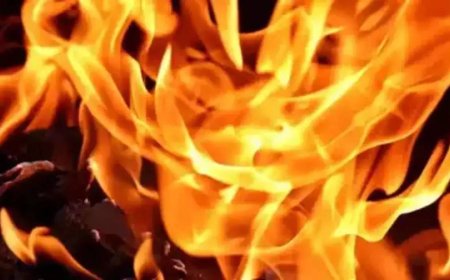 3 dead in fire at food processing unit in Delhi's Narela