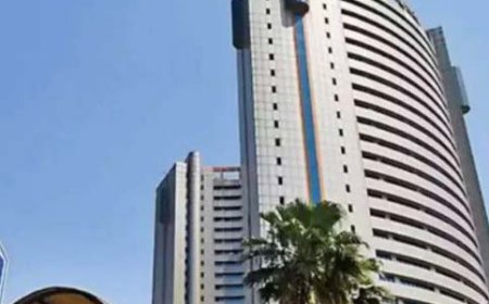 MCD seeks ₹221-crore grant from Delhi govt for health infra upgrade