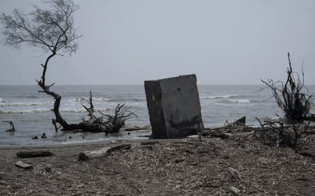 Nasa study shows interplay of El Niño and La Niña cycles impacts global sea levels