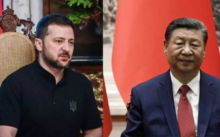 'Peace formula' for Ukraine: Zelenskyy says China's Xi Jinping told him he will not sell any weapons to Russia