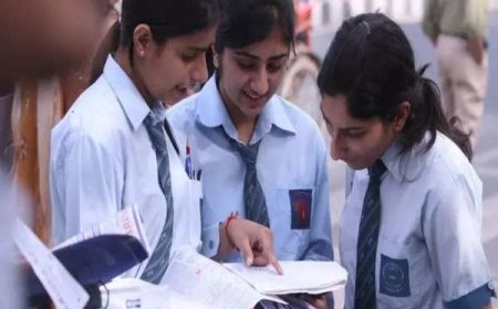 TN HSE 2024 revaluation, retotaling results today at dge.tn.gov.in, here’s how to download revised scorecard