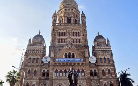 BMC assigns sub-engineers to inspect and fill potholes in Mumbai wards daily