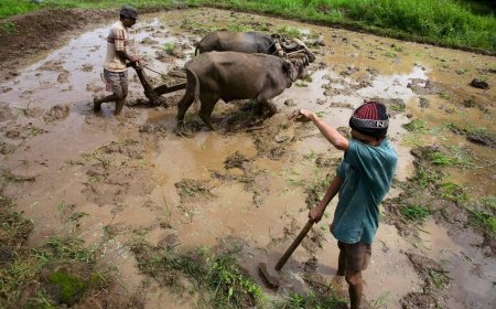 Centre announces infrastructure projects, farmer support as part of 100 day programme