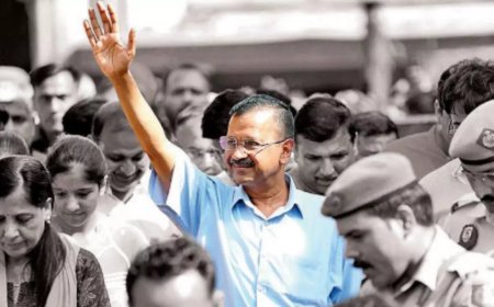 Delhi CM Arvind Kejriwal gets bail in excise case, ED to move HC today