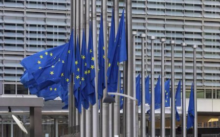 EU tariffs on China not a 'punishment', says German economy minister