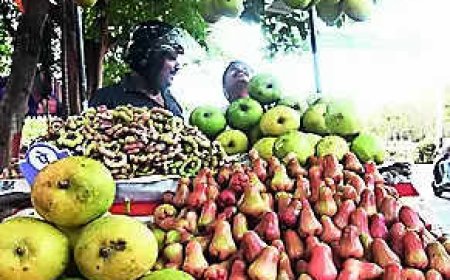 Fruits & vegetables top list of all crops in value terms, reveals NSO report