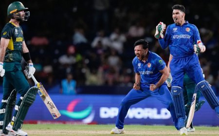 Netizens in awe after Afghanistan stun Australia in T20 World Cup, say: ‘Success is the sweetest revenge’