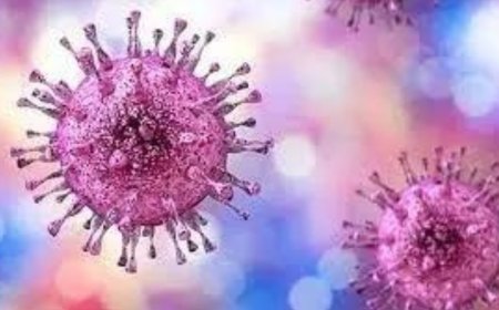 Pakistan: New case of Congo virus reported in Quetta