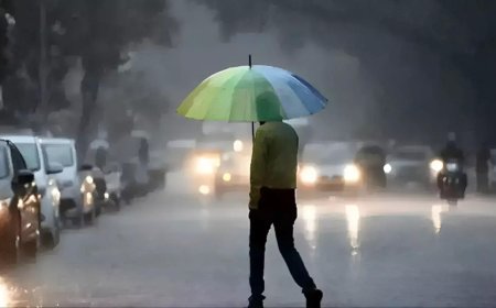 These states to get relief from heatwave, IMD predicts light to moderate rain; all you need to know