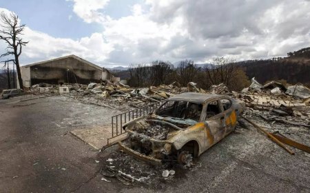 Team combs fire-ravaged New Mexico community for remains of the missing