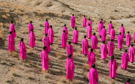 Unveiling creativity and climate optimism at Ladakh's land art exhibition