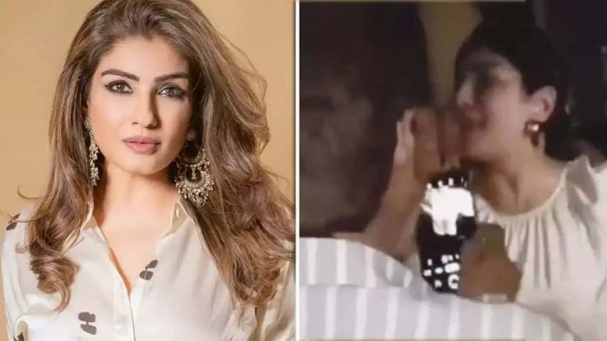 In viral clip, group shoves Bollywood actor Raveena Tandon during spat with driver