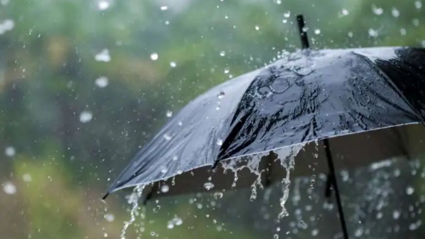 Rains in parts of Thane; city records highest minimum temperature