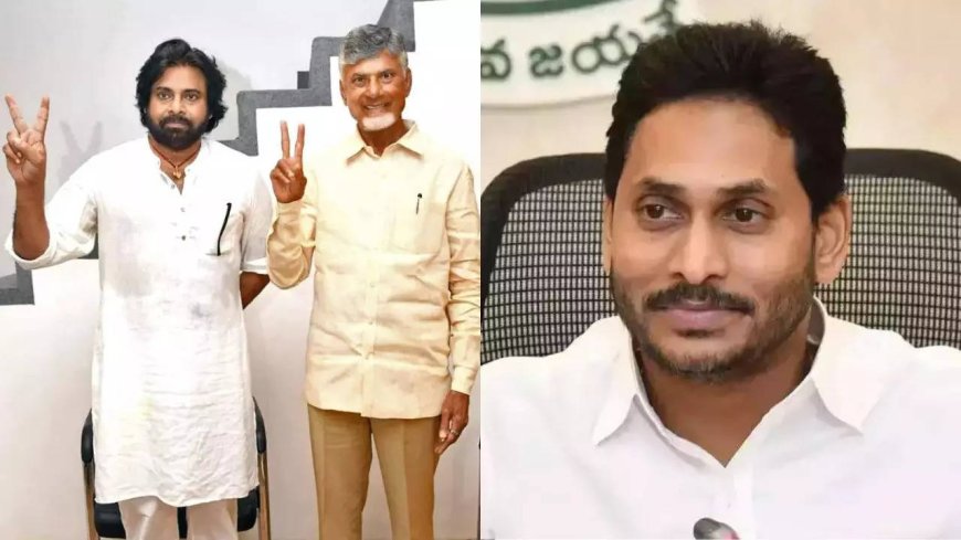 Andhra Pradesh LS Election Results 2024: Full list of winners