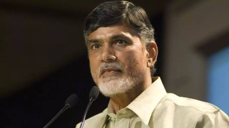 Lok Sabha Elections: Chandrababu Naidu plays his cards right, catapults onto national stage