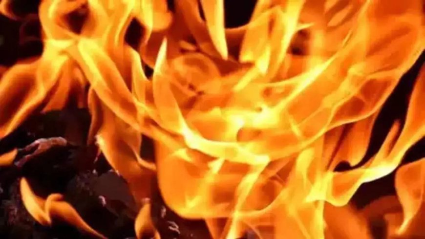 3 dead in fire at food processing unit in Delhi's Narela