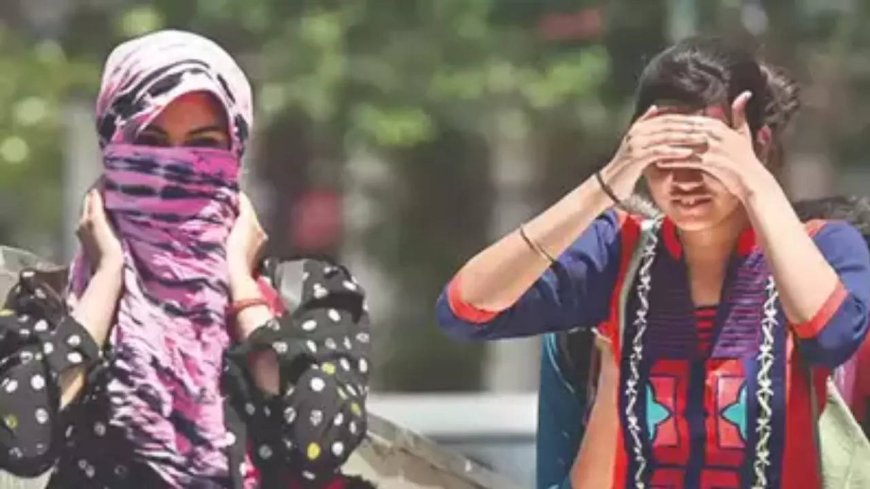 Delhi's Narela hottest at 45.7°C, brace for heatwave again