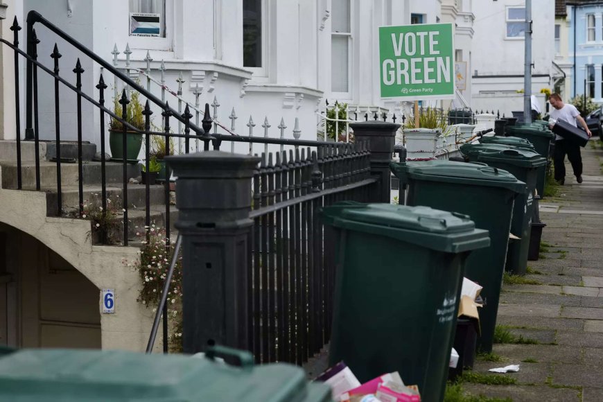 Green Party's losses at EU vote to hit climate goals?
