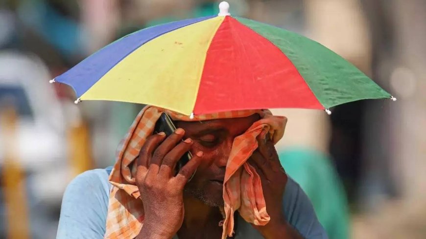 Delhi heatwave: How to beat the heat and stay safe