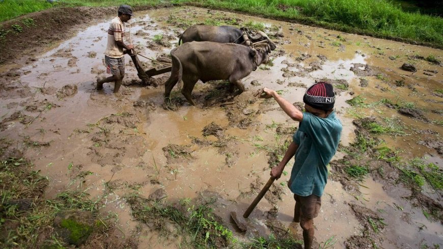 Centre announces infrastructure projects, farmer support as part of 100 day programme