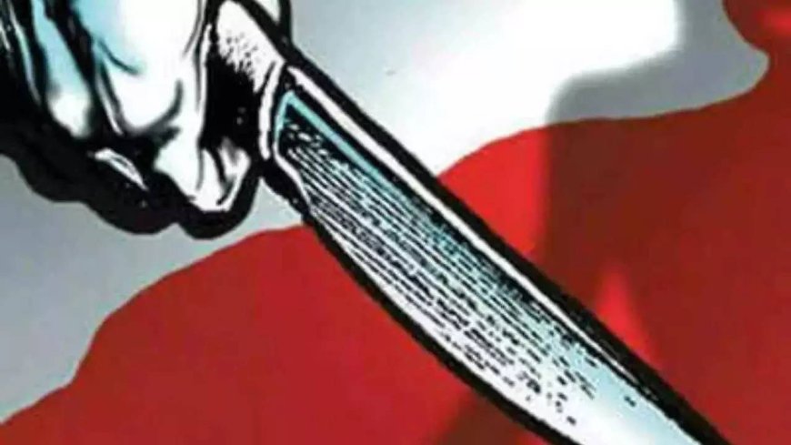 2 stabbed to death for 'revenge' in northwest Delhi