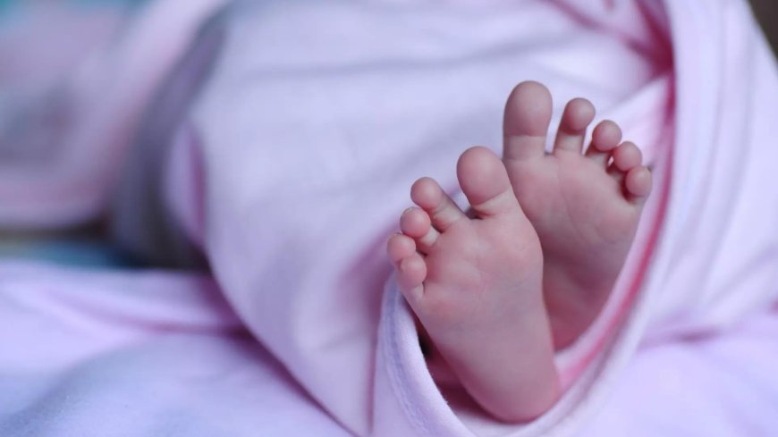 ‘Unhappy’ with girls, Delhi family kills 2 newborns