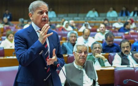 'Take concrete measures': Pak PM pushes for anti-terror cooperation