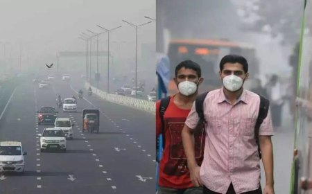 Over 7% of daily deaths in 10 Indian cities linked to PM2.5 pollution: Lancet study