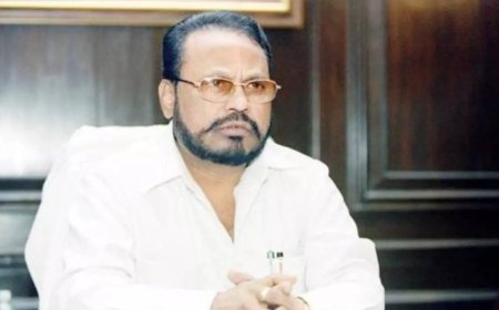 'Make me governor in 15 days or else ...': Former Shiv Sena MP Anandrao Adsul ‘warns’ BJP