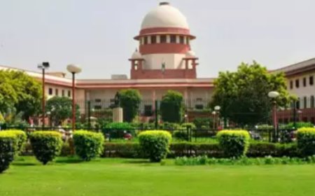 'Brutality of assault shocked conscience': What SC said on Kolkata rape-murder case