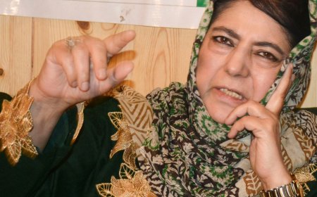 J&amp;K Assembly polls: Mehbooba Mufti releases PDP's manifesto, says ‘ready support to Congress-NC alliance if…’