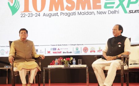 Quality Control Orders protect MSMEs from unfair competition from outside the country: Piyush Goyal