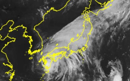 'Highest-level warnings' issued as Typhoon Shanshan makes landfall in Japan
