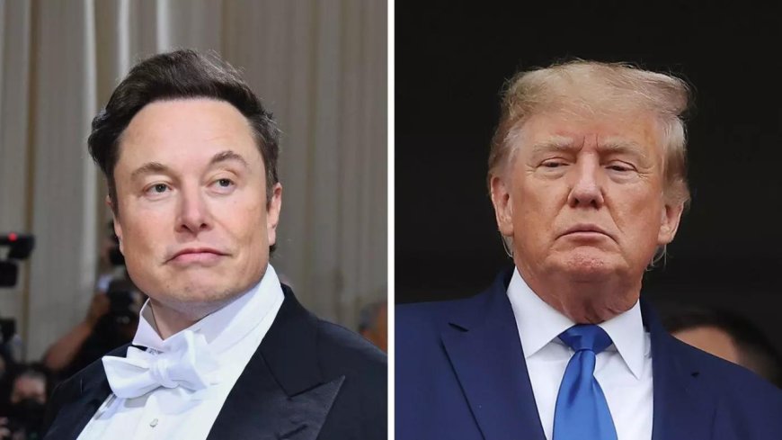 Elon Musk-Donald Trump interview hit by DDoS attack: What is DDoS attack