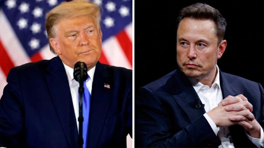 'Was looking in exact direction of shooter': Trump recalls assassination attempt in interview with Musk