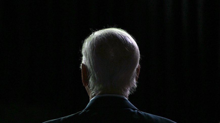 Ten plausible contenders to replace Joe Biden