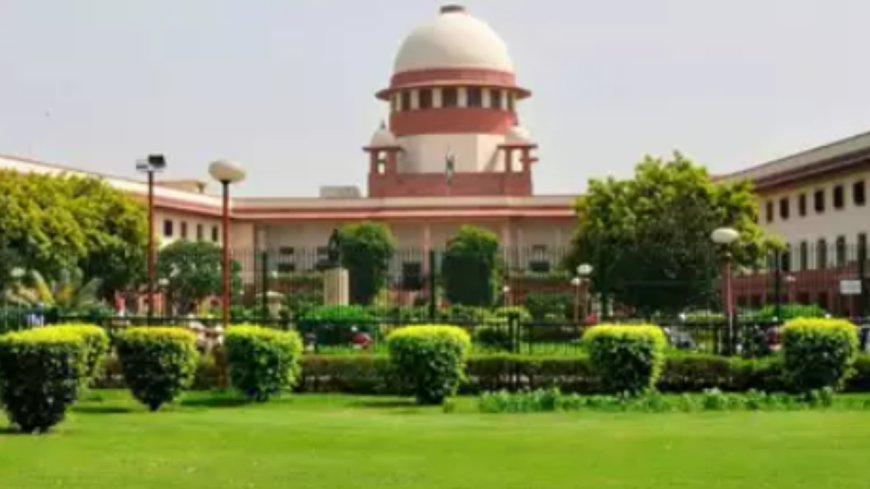 'Brutality of assault shocked conscience': What SC said on Kolkata rape-murder case