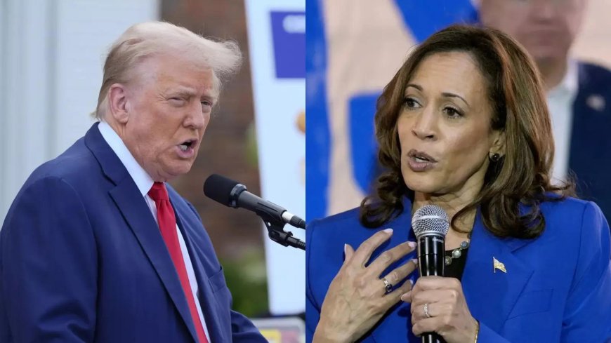 Kamala Harris tears into Trump at DNC speech: 'Unserious man, but consequences of his return to White House extremely serious'