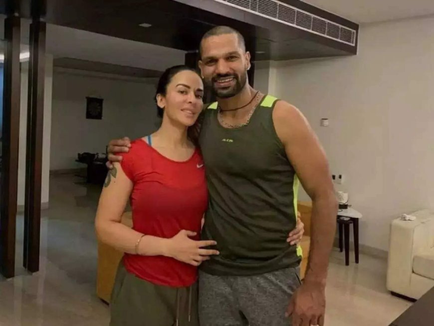 Shikhar Dhawan-Aesha Mukerji: What went wrong?