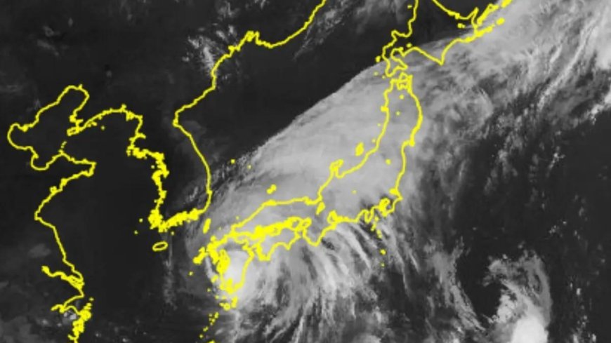 'Highest-level warnings' issued as Typhoon Shanshan makes landfall in Japan