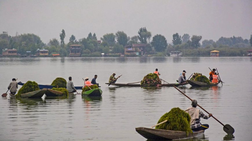 Dal Lake pollution: NGT forms panel to take 'expeditious remedial action'