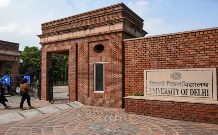 Delhi University launches part-time vice-chancellor internship scheme for students